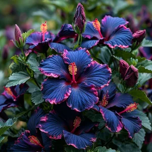 Гибискус Голден Глоу купить по цене от 259р. в интернет-магазине «Посадика» с доставкой почтой в в Кусае и по всей России – [изображение №1].