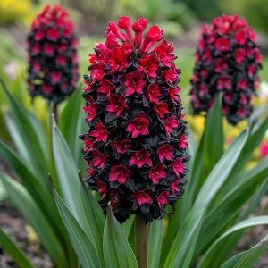 Гиацинт Джем Стоун купить по цене от 2099р. в интернет-магазине «Посадика» с доставкой почтой в в Кусае и по всей России – [изображение №1].