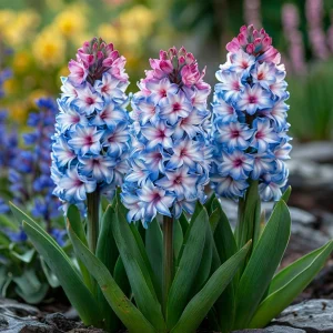 Гиацинт Пинк Мари купить по цене от 2099р. в интернет-магазине «Посадика» с доставкой почтой в в Кусае и по всей России – [изображение №1].