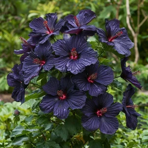 Гибискус Мэджик Момент купить по цене от 699р. в интернет-магазине «Посадика» с доставкой почтой в в Кусае и по всей России – [изображение №1].