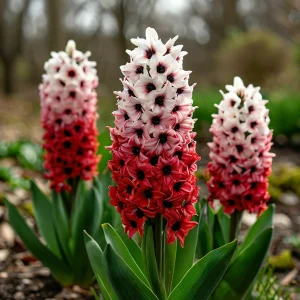 Гиацинт Скай Гарден купить по цене от 2099р. в интернет-магазине «Посадика» с доставкой почтой в в Кусае и по всей России – [изображение №1].